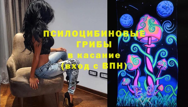 твердый Покровск