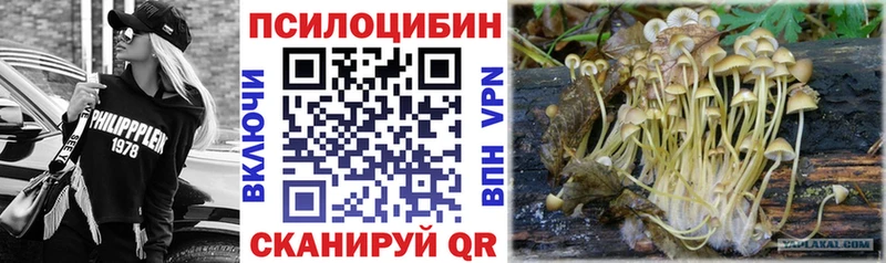 Галлюциногенные грибы мицелий закладки Шилка